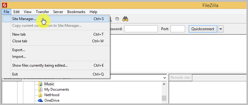 FTP Site Manager FTP Site Manager