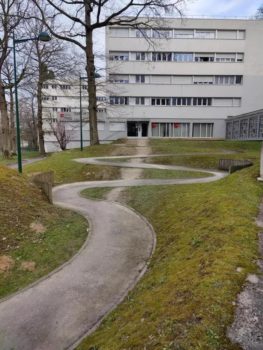 desire path through windy path