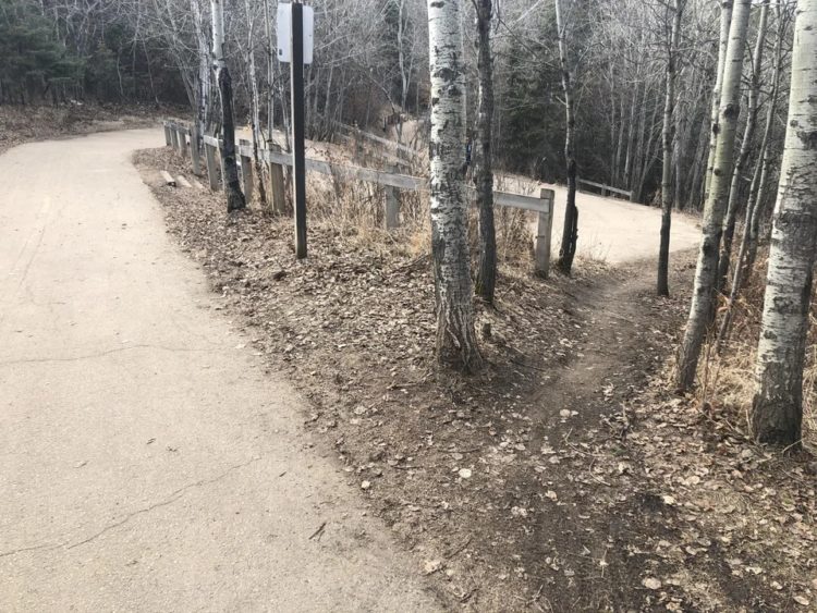 switchback desire path erosion